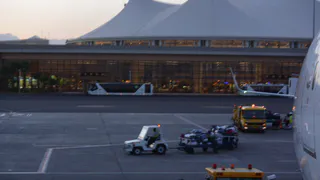 Названы точные сроки возобновления перелетов из России в Египет