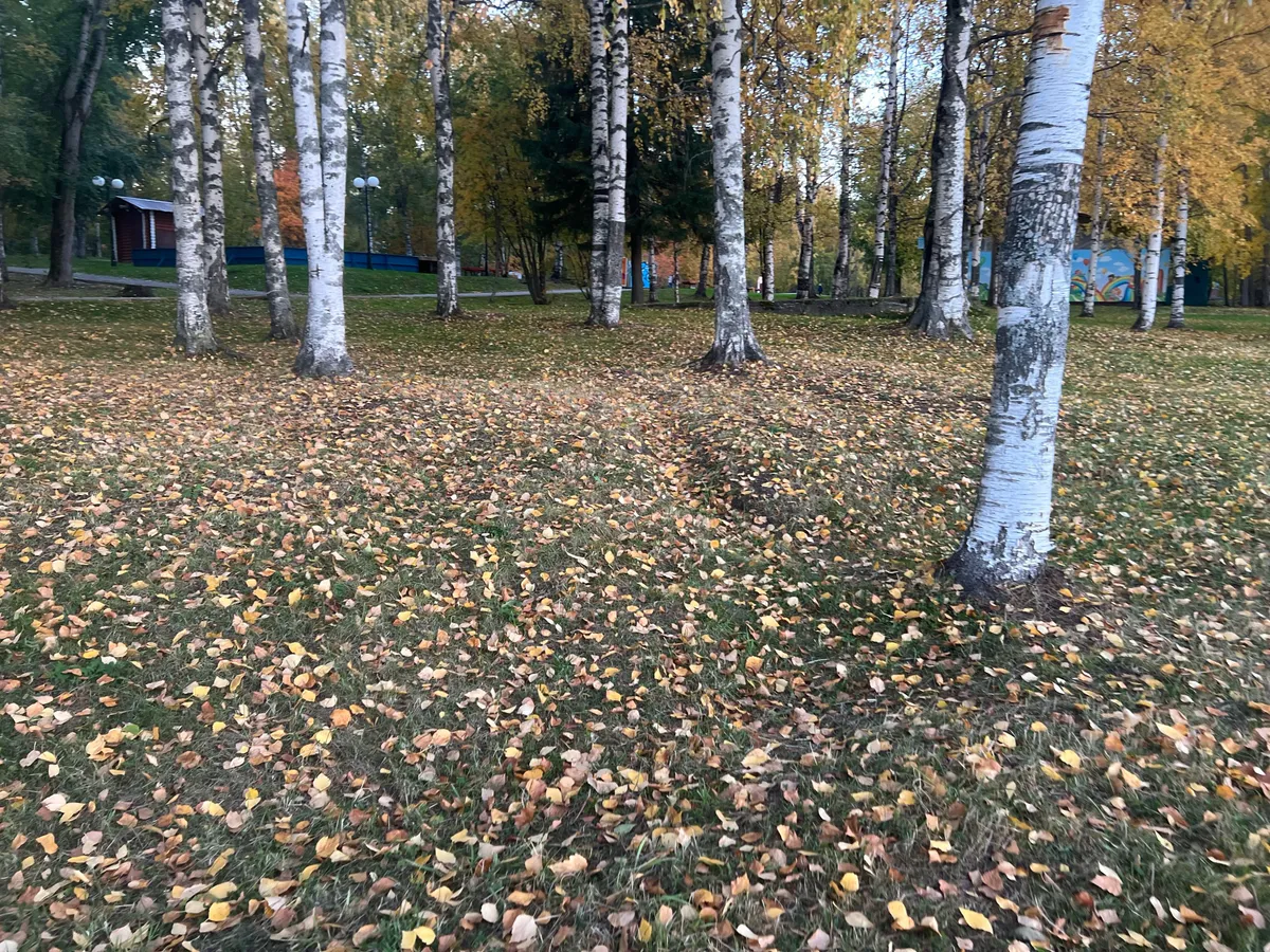 В Чувашию 24 октября придут заморозки