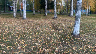 В Чувашию 24 октября придут заморозки