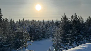 Выпадет счастливый лотерейный билет: Тамара Глоба назвала знак, который станет настоящей суперзвездой в феврале