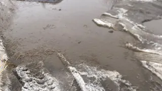 Море в черте города: как выглядит конечная остановка рядом с Психбольницей