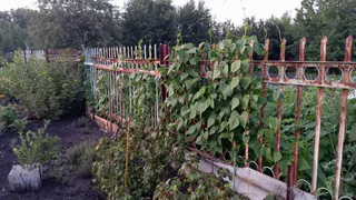 Миллионер из Москвы купил заброшенную усадьбу в деревне: Увидел и обомлел во что он ее превратил