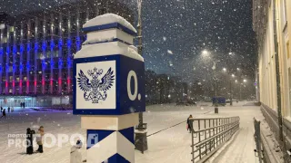 Стало известно, какие посылки получают жители Челябинской области по почте из-за рубежа