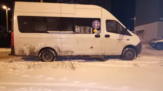 Народный контроль: рязанская маршрутка паркуется во дворе на зеленой зоне