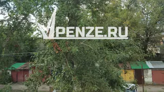 На улице Привокзальной огромная ветка аварийного тополя помяла «Калину»: жители не раз добивались обрезки дерева