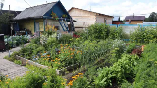 Лишатся земли: всем, у кого участок в собственности - обновленное жесткое правило с 11 декабря