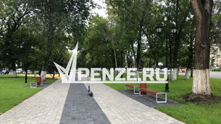 В Пушкинском сквере массово вырубают деревья