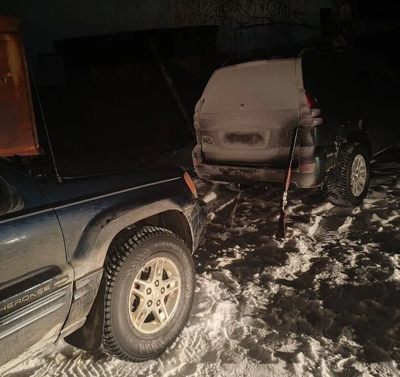 В Челябинской области задержали браконьеров, подозреваемых в отстреле двух косуль