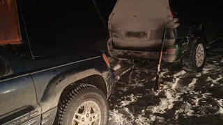 В Челябинской области задержали браконьеров, подозреваемых в отстреле двух косуль