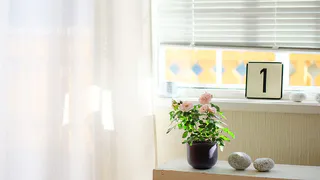 День Матрены Настовицы: Традиции, Приметы и Рекомендации на 9 апреля