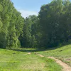 Коми 12 июня ждет сухой день с температурой до +27°C