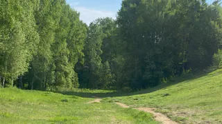 25 июля Чувашию ожидает приятная теплая погода с переменной облачностью