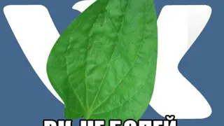 Очередной сбой работы «ВКонтакте» - у пользователей исчезает история сообщений