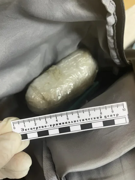 В Коми полиция задержала трёх закладчиков с 750 граммами запрещённых веществ