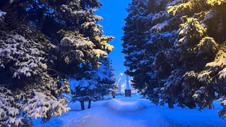 Собственнику музея в Рязани направили предостережение