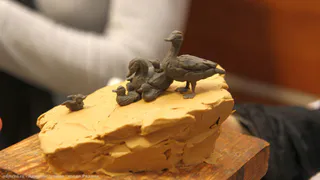 В Рязани на Черезовских прудах появится арт-объект «Уточки»