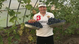 Фермер из Гусь-Хрустального района вышел в финал всероссийской премии «МедиаПоле»