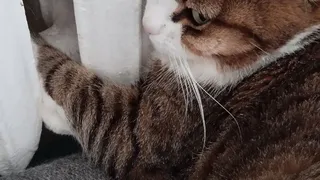 Не повышение цен, а гораздо хуже: россиянам объявили о новых штрафах за отопление