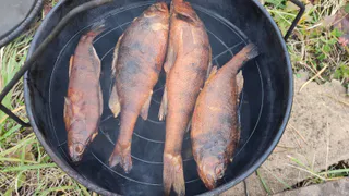 Заядлые чебоксарские рыбаки рассказали, как быстро и вкусно закоптить, пожарить рыбу