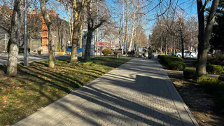 Сейчас не время: Володина предупреждает о сложном периоде - не вздумайте делать это