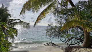 Даже если предложат поехать туда за деньги – не соглашусь: туристка рассказала о самом отвратительном отдыхе в ее жизни