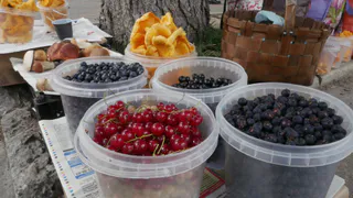 Самая вредная ягода: а мы едим ее как деликатес, еще и детей угощаем