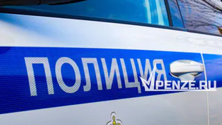 В Мокшанском районе сбили лося: животное погибло