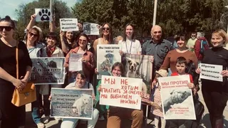 28 мая в Рязани в ЦПКиО состоится митинг против усыпления бездомных животных