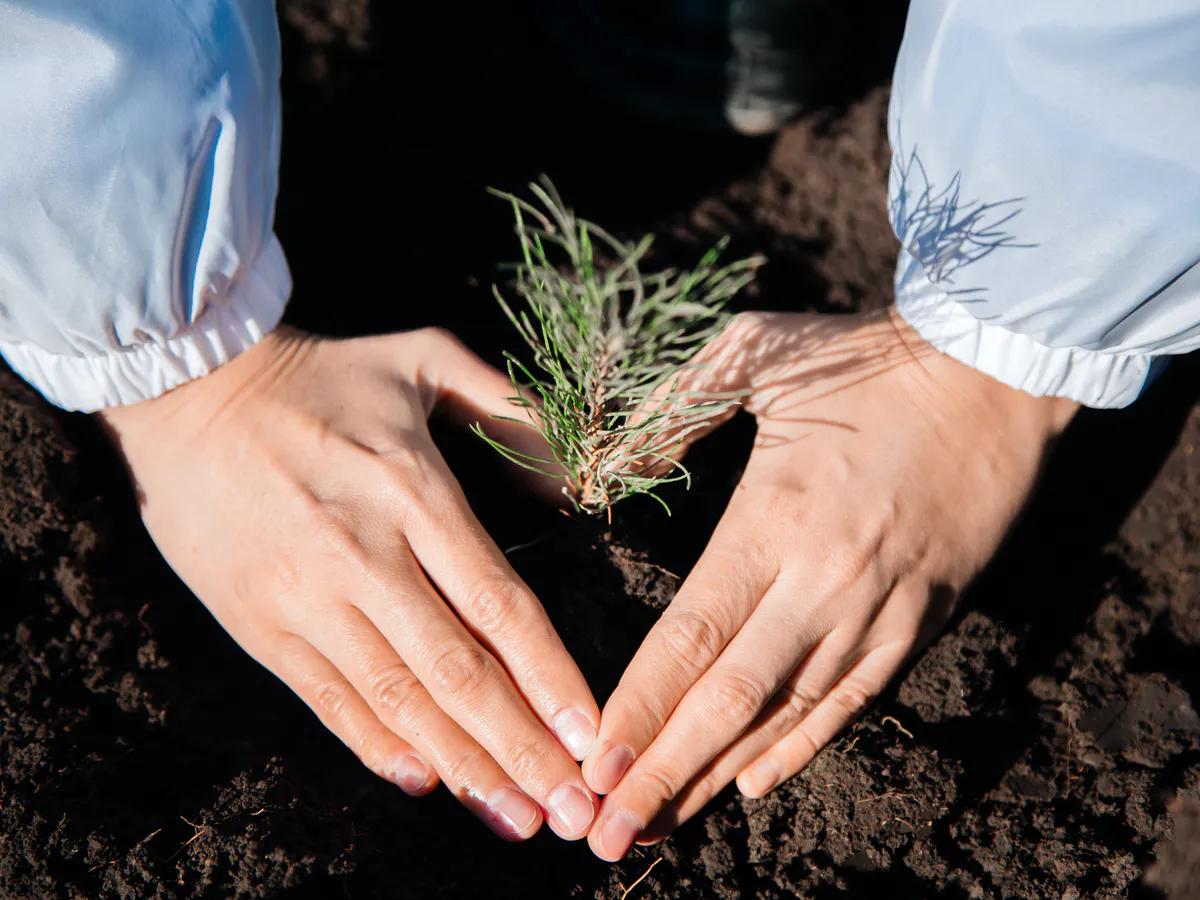 СИБУР ищет добрые дела: стартовал приём заявок на гранты