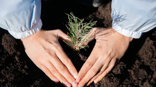 СИБУР ищет добрые дела: стартовал приём заявок на гранты