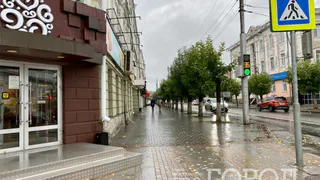 13 августа в Рязанской области ожидается дождь и до +22