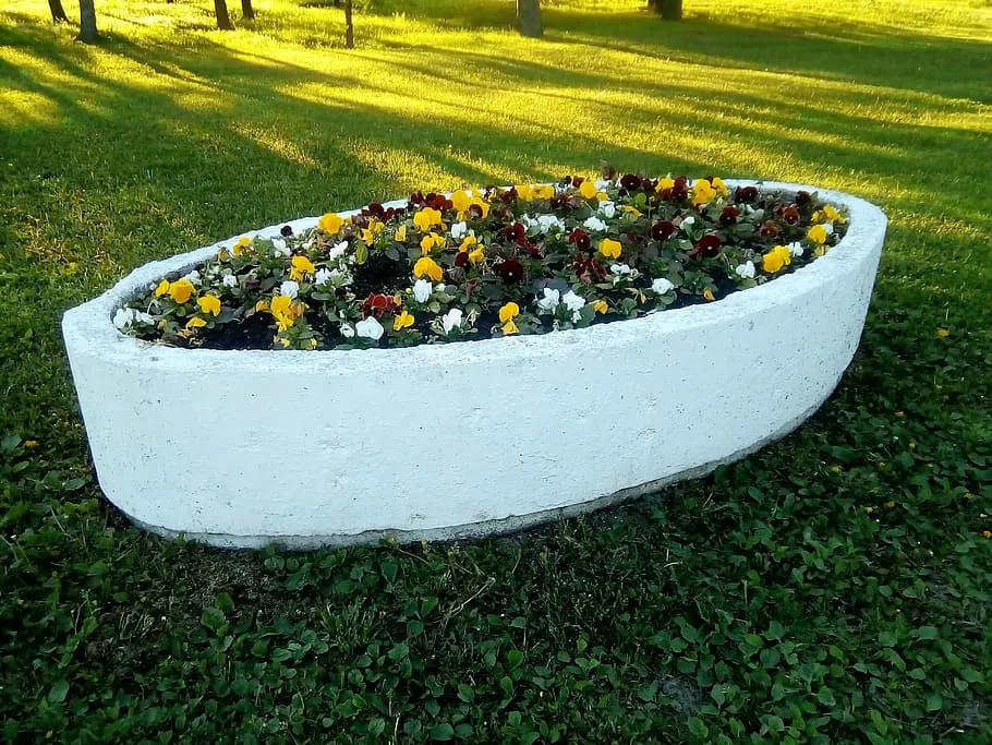 Какие цветы посадить на кладбище: 5 многолетников, которые цветут без регулярного ухода