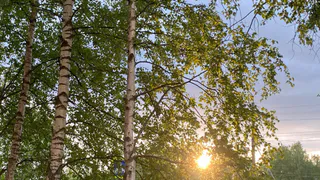 Гороскоп на 30 июня рекомендует довериться интуиции и избегать конфликтов