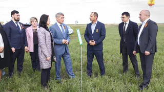 Аграрии Чувашии получат рекордные 5 миллиардов рублей субсидии