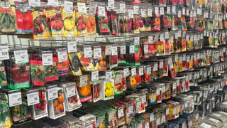 5 культур для обязательного посева в феврале – иначе урожая можно не дождаться до конца сезона