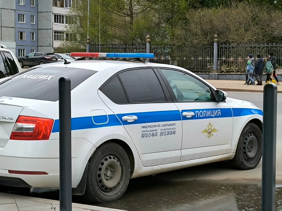 Житель Челябинской области незаконно срубил деревьев почти на 150 тысяч рублей