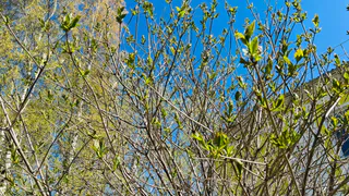 "В середине июня придет безумная аномалия". Синоптики предупредили, что нас ждет