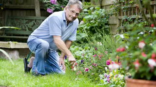 День садовода: в Татарстане появится новый праздник 