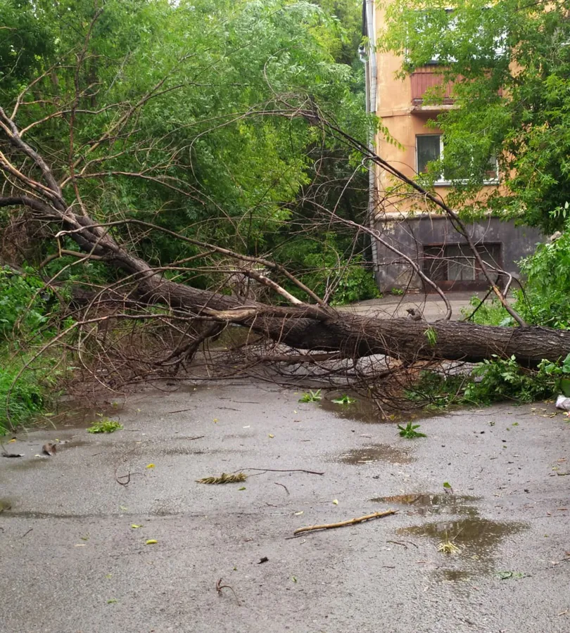 В Магнитогорске прошедший ливень затопил улицы и повалил деревья