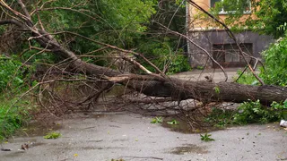 В Магнитогорске прошедший ливень затопил улицы и повалил деревья