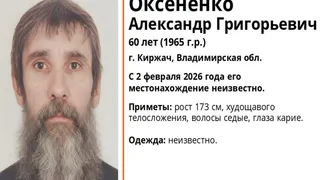В Киржаче ищут пропавшего в начале февраля 60-летнего мужчину