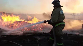 В Брянской области за сутки было зарегистрировано 6 пожаров
