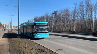 «В мороз стояли целый час, а транспорт не пришел»: у жителей д. Секиотово больше не осталось способов добраться до работы