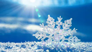 Погода недели: зима начнется с потепления