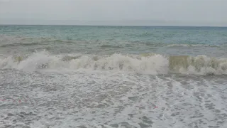 Люди заходят в воду с белой кожей, а выходят зелеными: россиянка оставила честный отзыв об отдыхе в Витязеве 