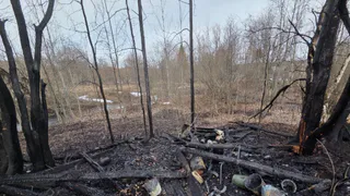 Из-за сжигания мусора в Коми вновь загорелась сухая трава 