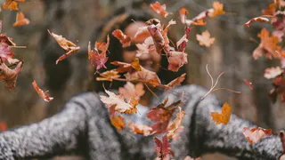 О погоде в Рязани - синоптики пообещали резкое похолодание