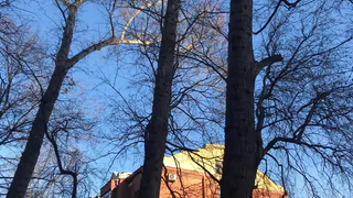 Какая погода ждёт рязанцев в субботу? Прогноз синоптиков