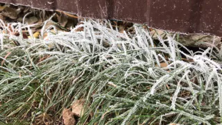 Зима может нагрянуть уже в августе: какой сюрприз готовит конец лета российским регионам