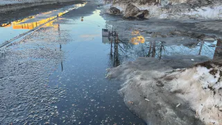 Куртки не убирайте уже скоро они понадобятся: Вильфанд рассказал о резком похолодании почти на 25 градусов